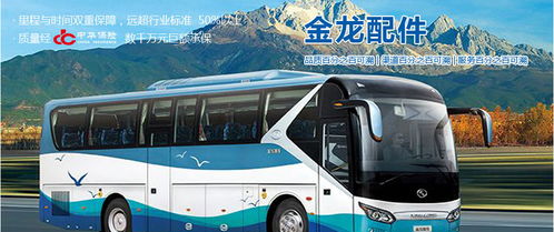 汽車火花塞市場(chǎng)分析 廠家、經(jīng)銷商、維修廠地址、價(jià)格及北邁網(wǎng)汽后通在小微型客車領(lǐng)域的應(yīng)用